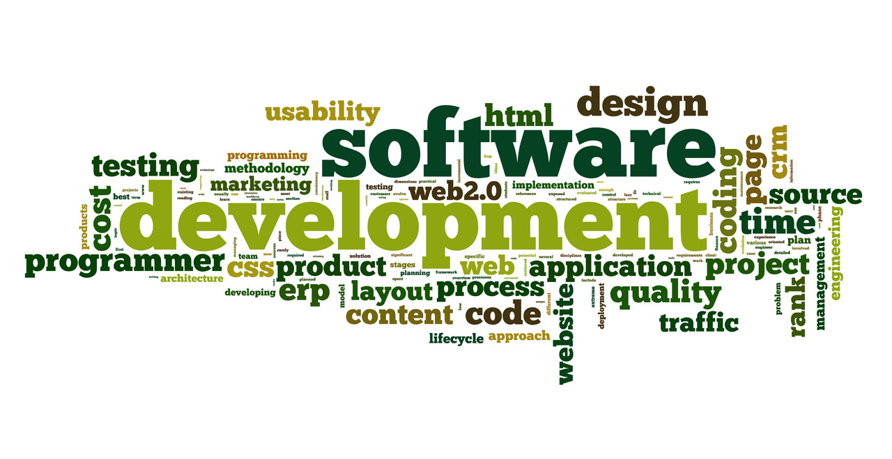Software custom development